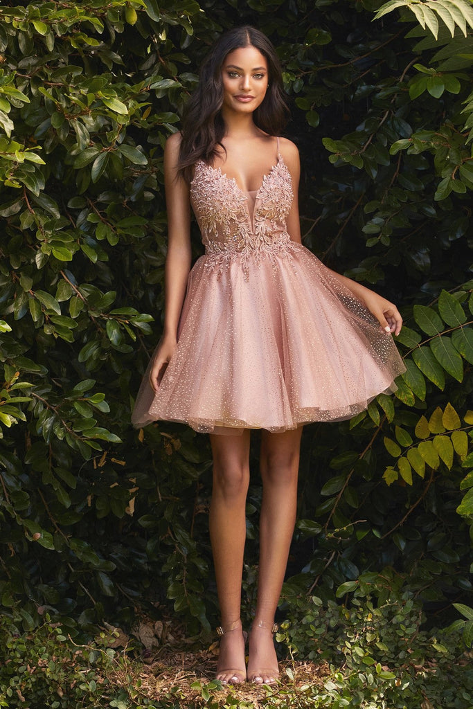 Short Mini Cocktail & Homecoming Style A-Line Short Tulle Dress Dotted Skirt Floral Bodice Short BabyDoll Silhouette CDCD0189
