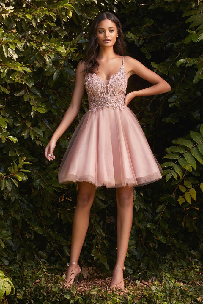 Short A-line Homecoming & Cocktail Dress Embroidered Appliqué Deep V-neck Bodice Spaghetti Straps Open Back Layered Skirt CDCD0190