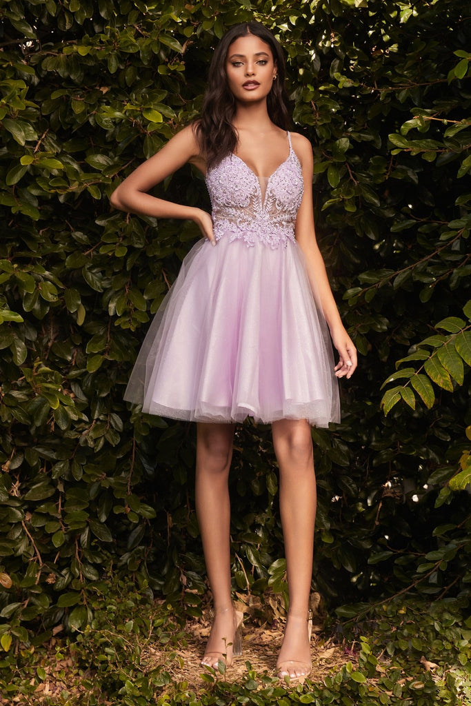 Short A-line Homecoming & Cocktail Dress Embroidered Appliqué Deep V-neck Bodice Spaghetti Straps Open Back Layered Skirt CDCD0190